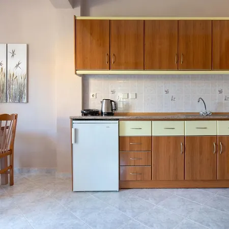 Family House Nikos Lejlighed Sykia